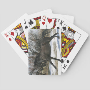 Jeu De Cartes Cheval Mustang sauvage dans la neige 2
