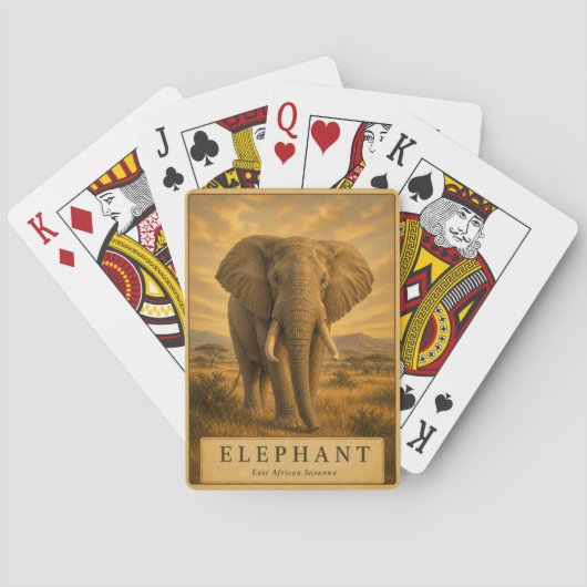 Jeu De Cartes Cheval Open Grasslands VINTAGE (dos)