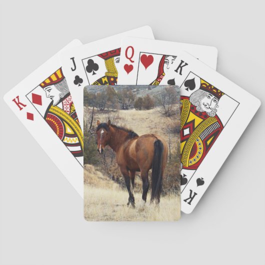 Jeu De Cartes Cheval sauvage (dos)