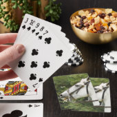 JEU DE CARTES CHEVAUX (In Situ)
