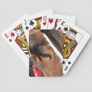 JEU DE CARTES CHEVAUX