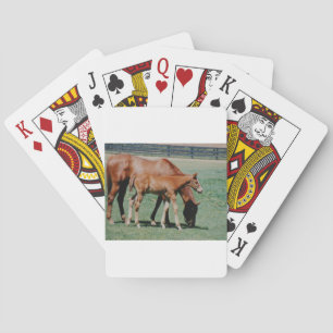 JEU DE CARTES CHEVAUX AMICAUX