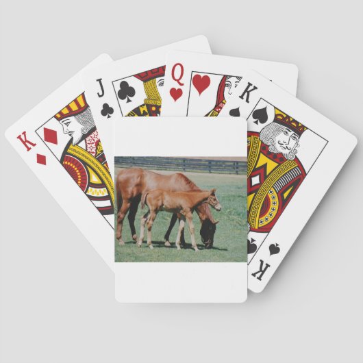 JEU DE CARTES CHEVAUX AMICAUX (dos)