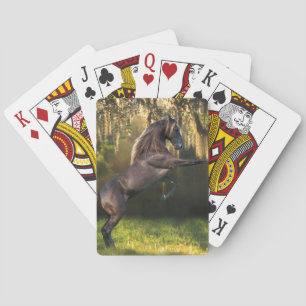 Jeu De Cartes Chevaux d'imaginaire : Prince de guerrier