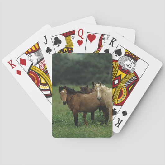 Jeu De Cartes Chevaux Mustang Sauvages 4 (dos)