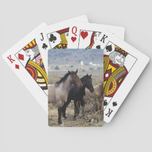 Jeu De Cartes Chevaux Mustang sauvages 5