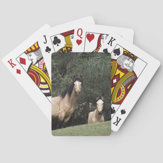 Jeu De Cartes Chevaux sauvages 6 de mustang (dos)