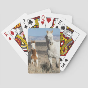 Jeu De Cartes Chevaux sauvages chez eux dans le bassin de Sandwa