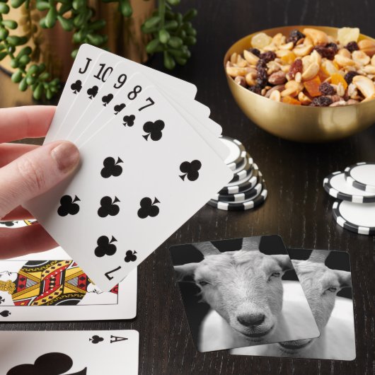 Jeu De Cartes chèvre (In Situ)