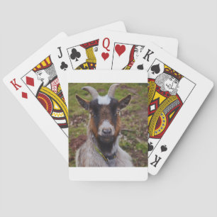 Jeu De Cartes Chèvre de près.
