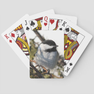 Jeu De Cartes Chickadee 9693