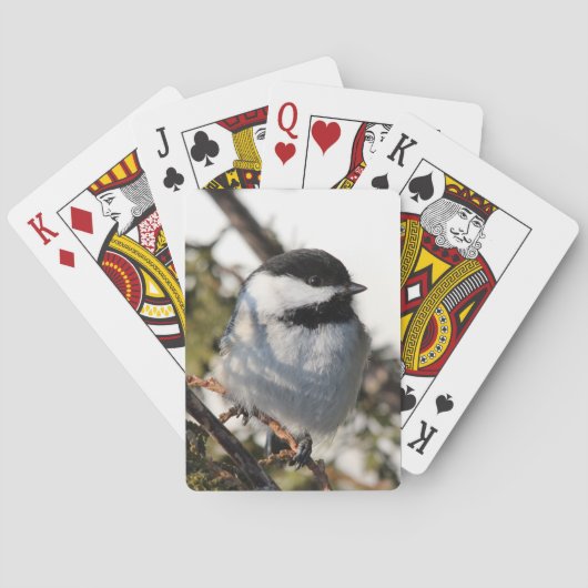 Jeu De Cartes Chickadee 9693 (dos)