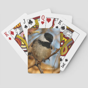 Jeu De Cartes Chickadee Songbird, Joli Espérant