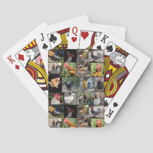 Jeu De Cartes Chicken,And Rooster Photo Collage,