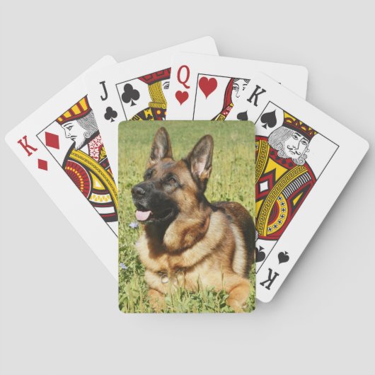 Jeu De Cartes Chien berger allemand (dos)