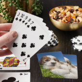 Jeu De Cartes Chien chiot mignon (Shitzu) (In Situ)