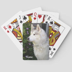 Jeu De Cartes Chien chiot sibérien Husky