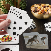 Jeu De Cartes Chien de boîte dans l'eau (In Situ)