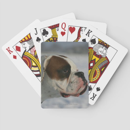 Jeu De Cartes Chien de boxe dans la neige (dos)