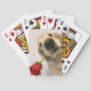 Jeu De Cartes Chien de golden retriever avec le rose rouge