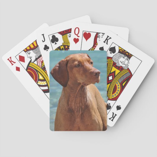 Jeu De Cartes Chien de Magyar Vizsla (dos)