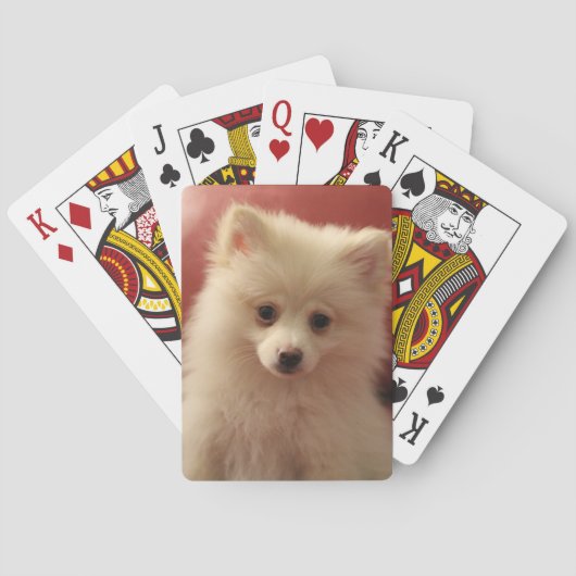 Jeu De Cartes Chien de Poméranie mignon (dos)