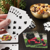 Jeu De Cartes Chien de Poméranie Noire regardant la caméra (In Situ)