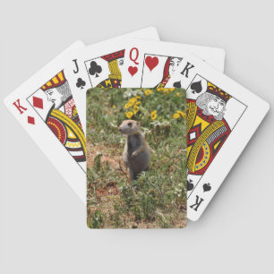 Jeu De Cartes Chien de prairie