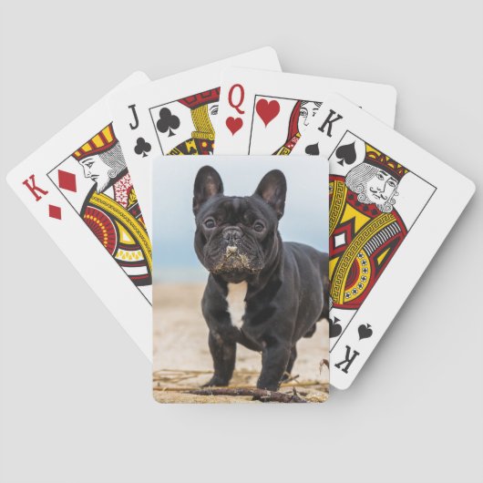 Jeu De Cartes Chien de taureau français jouant dans le sable (dos)