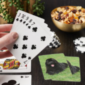 Jeu De Cartes Chien de Terre (In Situ)