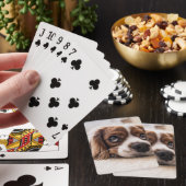Jeu De Cartes Chien Espagnol Coqueur Triste (In Situ)
