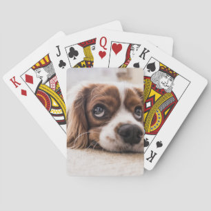 Jeu De Cartes Chien Espagnol Coqueur Triste