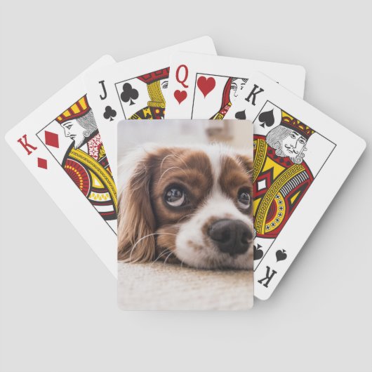 Jeu De Cartes Chien Espagnol Coqueur Triste (dos)