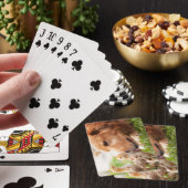 Jeu De Cartes Chien et poussin (In Situ)