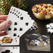 Jeu De Cartes Chien Husky Jouer aux cartes (In Situ)
