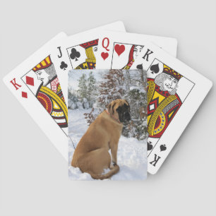 Jeu De Cartes Chien mastiff anglais "Pose de neige" photo