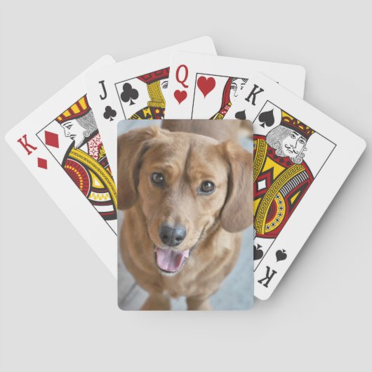 Jeu De Cartes Chien mignon (dos)