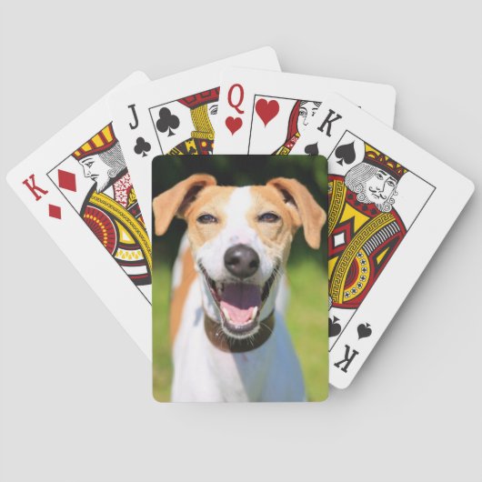 Jeu De Cartes Chien riant des images | de Getty (dos)