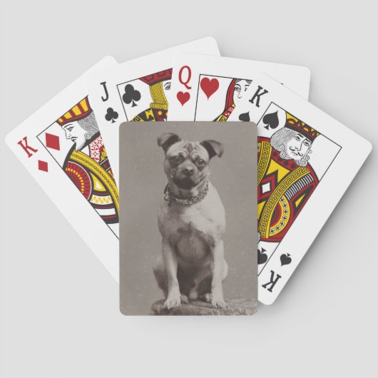 Jeu De Cartes Chien vintage (dos)