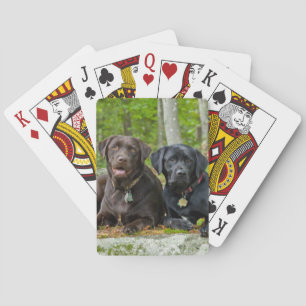 Jeu De Cartes Chiens Chiens Marionnettes Black Lab Chocolat Labr