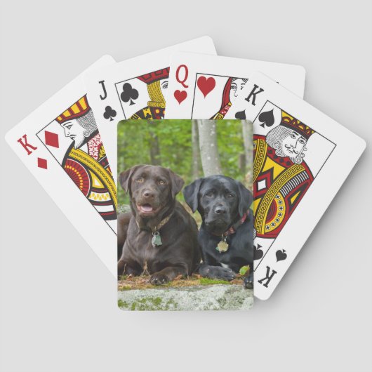 Jeu De Cartes Chiens Chiens Marionnettes Black Lab Chocolat Labr (dos)