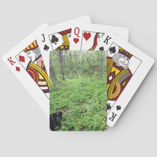 Jeu De Cartes Chiens dans les bois (dos)