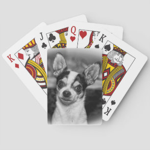 Jeu De Cartes Chihuahua