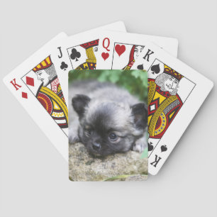 Jeu De Cartes Chihuahua
