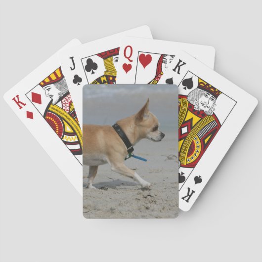 Jeu De Cartes Chihuahua sur la plage (dos)