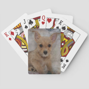 Jeu De Cartes Chihuahua/Yorkie Puppy
