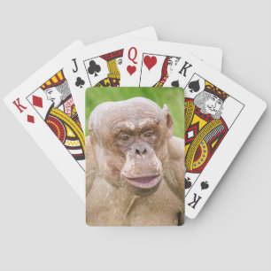 Jeu De Cartes Chimpanzé sans cheveux