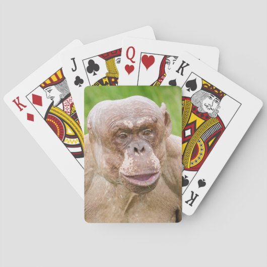 Jeu De Cartes Chimpanzé sans cheveux (dos)