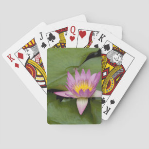 Jeu De Cartes Chine, Hong Kong, Nouveaux Territoires. Chi Lin