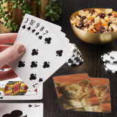 Jeu De Cartes Chiot Chihuahua en gros plan (In Situ)